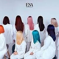 Esa Vip Hair color salon